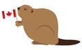 Canadian Beaver Color Vector Illustration Royalty Free Stock Photo