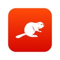 Canadian beaver icon digital red