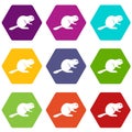 Canadian beaver icon set color hexahedron