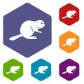 Canadian beaver icons set hexagon