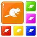 Canadian beaver icons set vector color