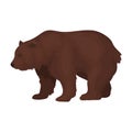 Canadian brown bear. Canada single icon in cartoon style vector symbol stock illustration web.