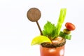 Canadian Caesar drink, typical Canadian drink, with hot sauce, celery, lemon, vodka and ice. copy space, isolated white background