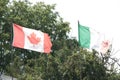canadian canada flag and worn ripped italy italian flag or ireland irish flag. p Royalty Free Stock Photo