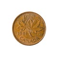 1 canadian cent coin 1981 obverse isolated on white background