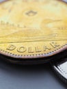 Canadian coins lie on gray surface. Small change of Canada. One dollar Canadian coin close up. Vertical illustration on theme of