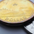 Canadian coins lie on white or gray surface. Money change of Canada. 1 dollar Canadian coin close-up. Square illustration about Royalty Free Stock Photo