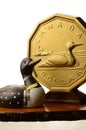 The Canadian Dollar