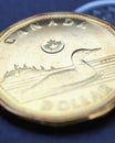 1 Canadian dollar. Fragment of textured coin close-up. Vertical stories on the theme of economics or banking. Coins and money of