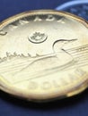 1 Canadian dollar. Fragment of textured coin. Vertical illustration about economy or finance. Coins and money change of Canada.
