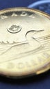 1 Canadian dollar. Fragment of textured coin. Vertical stories about economy or finance. Coins and money change of Canada. News