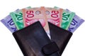 Canadian Dollars In Brown Wallet Royalty Free Stock Photo