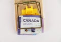Canadian dollars in mousetrap. Scam concept. Royalty Free Stock Photo