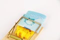 Canadian dollars in mousetrap. Scam concept. Royalty Free Stock Photo