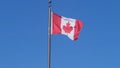 Canadian flag fluttering in the wind. Clean blue sky on the background