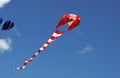 Canadian flag kite Royalty Free Stock Photo