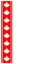 Canadian flag symbolism ribbon maple red leaf frame Royalty Free Stock Photo