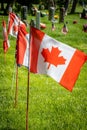 Canadian Flags Decorating Headstones at a Cemetery on US Memorial Day Royalty Free Stock Photo