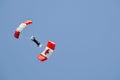 Canadian Forces Parachute Team