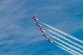 Canadian Forces Snowbirds