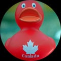 Canadian freedom duck child's bathtime toy