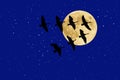 Canadian Geese beneath Full Moon and Stars