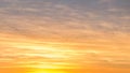 Canadian Geese Flying over Country Fields into Golden Winter Sun Royalty Free Stock Photo