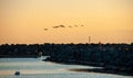 Canadian geese flying over a pier at sunrise Royalty Free Stock Photo