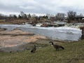 Canadian Geese in front of the Big Sioux River in Sioux Falls, South Dakota with views of wildlife, ruins, park paths, train track