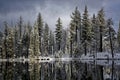 Canadian Geese in Reflection Lake, Lassen National Park`