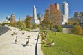 Canadian Geese and Scioto River and Columbus Ohio skyline Royalty Free Stock Photo