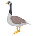 Canadian goose, goose decoys Vector Icon Royalty Free Stock Photo