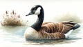 Canadian Goose Swimming in Serene Waters