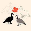 Canadian goose vector illustration style Flat black silhouette Royalty Free Stock Photo