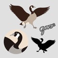 Canadian goose vector illustration style Flat black silhouette Royalty Free Stock Photo