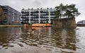 Canadian goose wading in New Islington marina