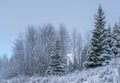 Canadian Wilderness - Snow Covered