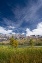 Canadian Landscape. Jasper National Park, Alberta Royalty Free Stock Photo