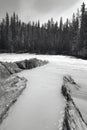 Canadian landscape with river and forest. British Columbia. Canada Royalty Free Stock Photo