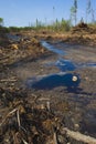Canadian logging aftermath Royalty Free Stock Photo