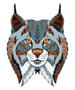 Canadian lynx head zentangle stylized, vector, illustration, pat