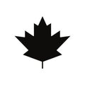 Canadian maple leaf icon isolated. Canada symbol maple leaf. Flat design Royalty Free Stock Photo