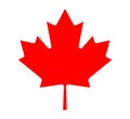 Canadian Maple Leaf From Flag