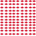 Canadian maple leaves like a design