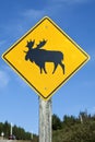 Canadian moose crossing sign Royalty Free Stock Photo