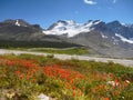 Canadian National Parks in Alberta, Road Trip Royalty Free Stock Photo