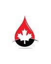 Canadian oil logo , maple leaf logo vector Royalty Free Stock Photo