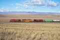 Canadian Pacific Freight Train Passing Through Mountain Home  Idaho Royalty Free Stock Photo