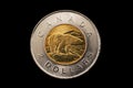 Canadian Two Dollar Coin Isolated On Black Royalty Free Stock Photo