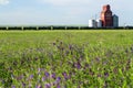 Canadian Prairies Wood Grain Elevator Saskatchewan Royalty Free Stock Photo